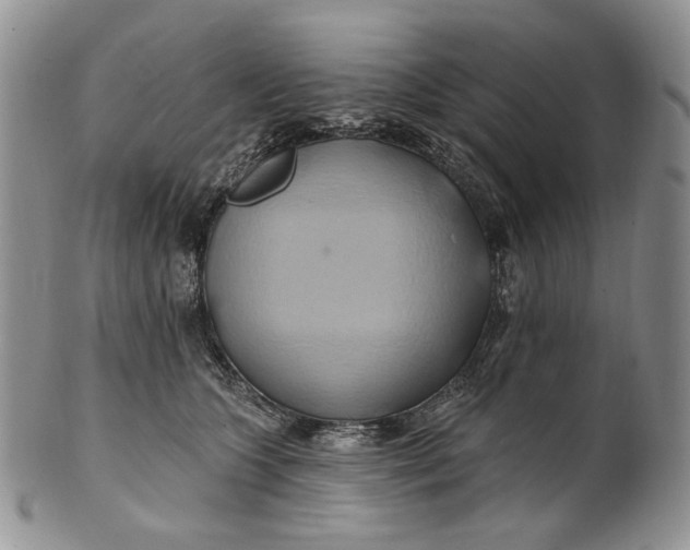 X0000100780563200807101819