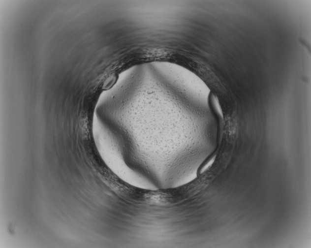 X0000100780564200807101819