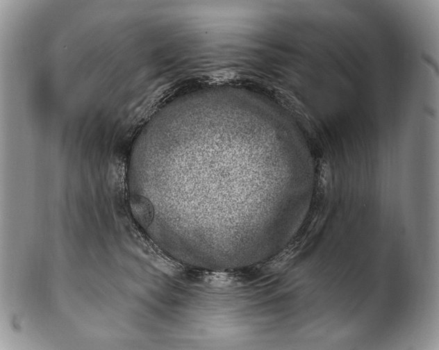 X0000100780565200807101819