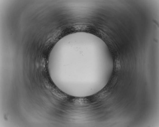 X0000100780567200807101819