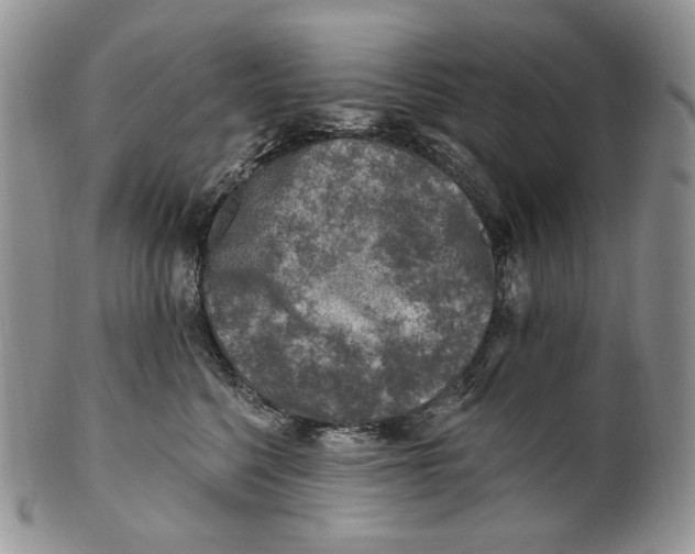 X0000100780568200807101819