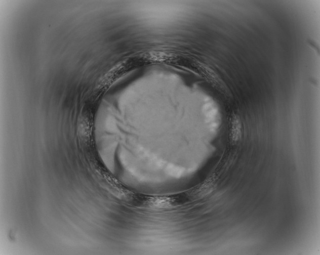 X0000100780569200807101819