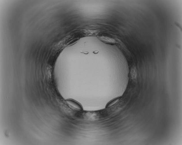 X0000100780570200807101819