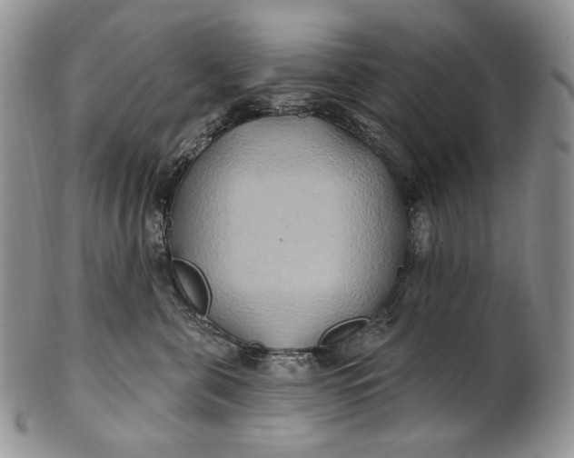 X0000100780571200807101819