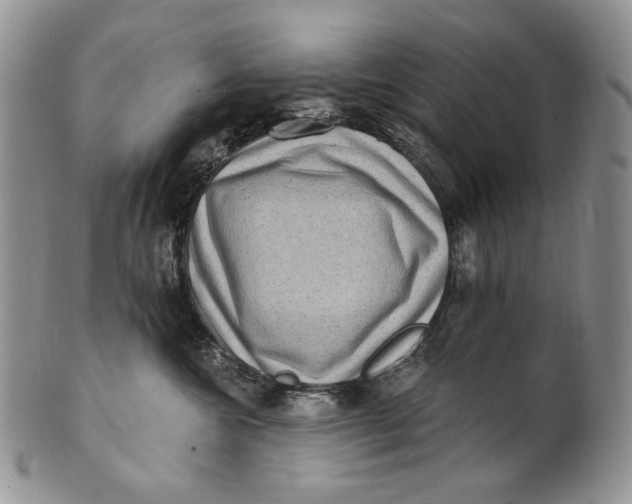 X0000100780572200807101819