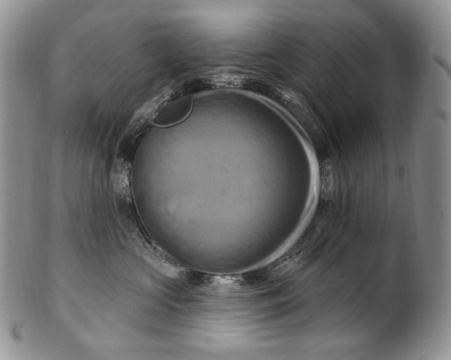 X0000100780573200807101819