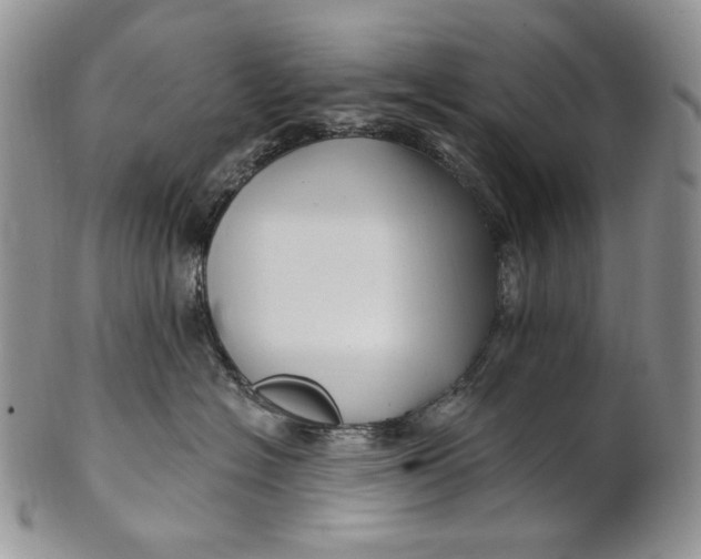 X0000100780574200807101819