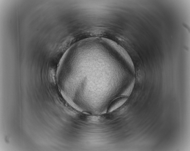 X0000100780575200807101819