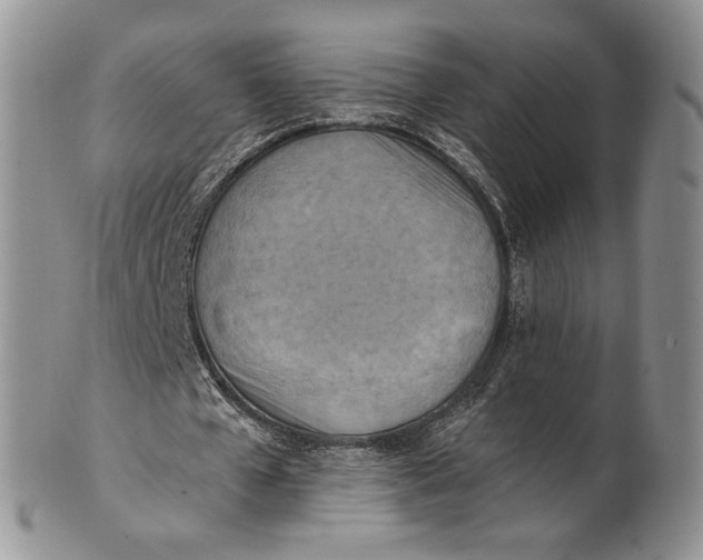 X0000100780577200807101818