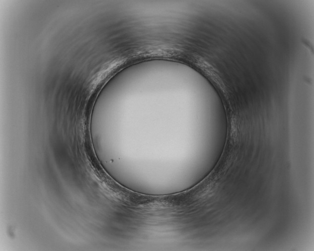 X0000100780578200807101818