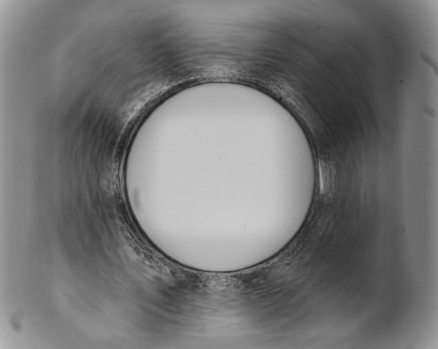 X0000100780579200807101818