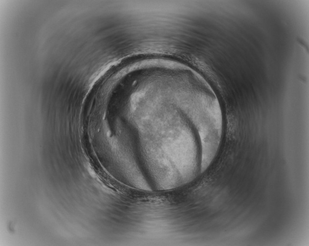 X0000100780580200807101818