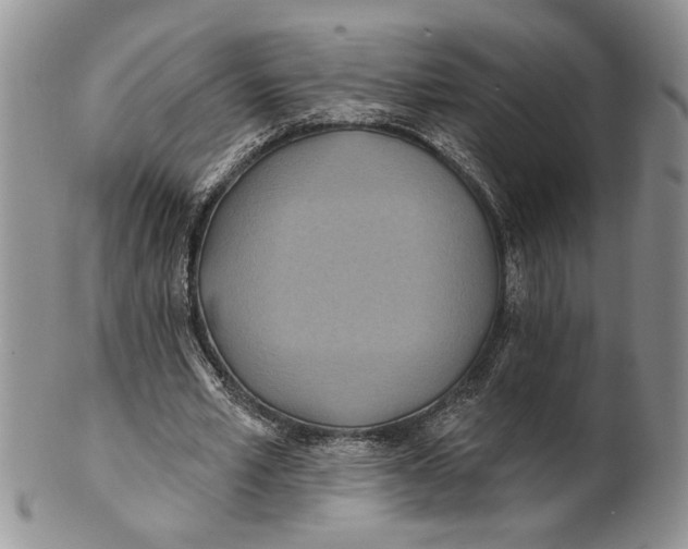 X0000100780581200807101818