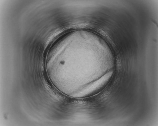 X0000100780582200807101818