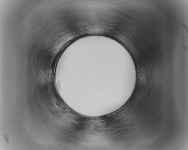 X0000100780583200807101818