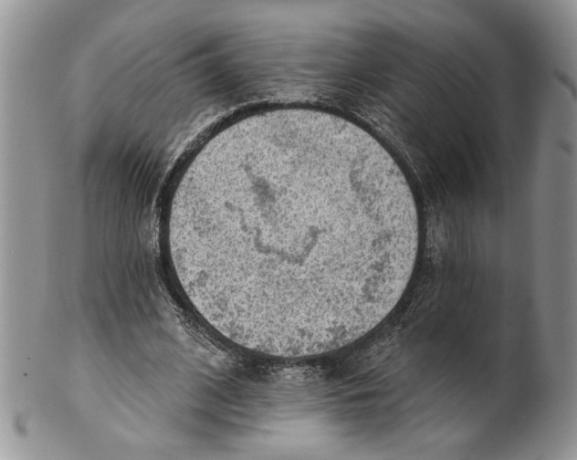 X0000100780584200807101818