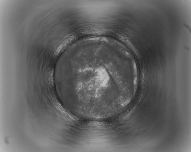 X0000100780585200807101818