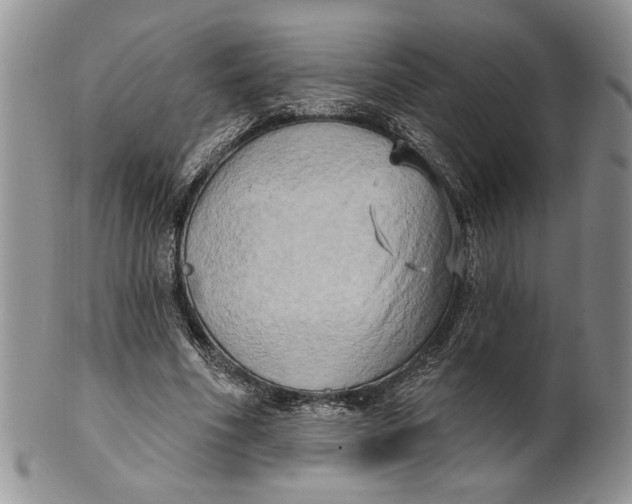 X0000100780586200807101818