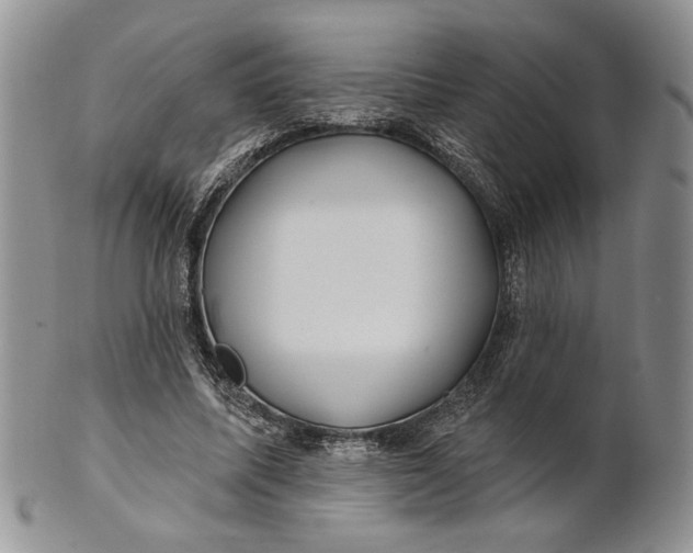 X0000100780587200807101818