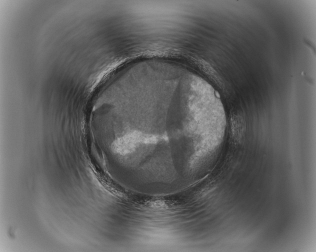 X0000100780588200807101818