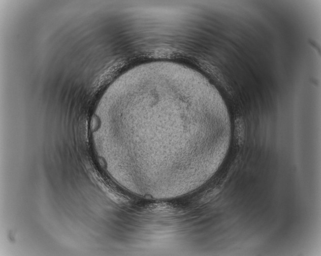 X0000100780589200807101818