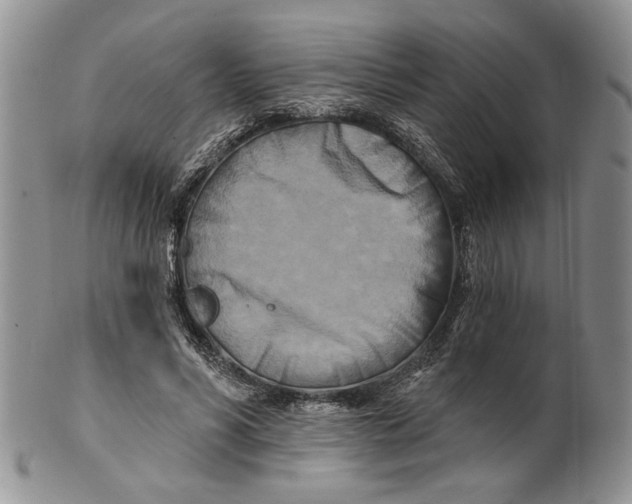 X0000100780590200807101818