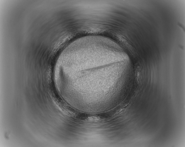 X0000100780591200807101818