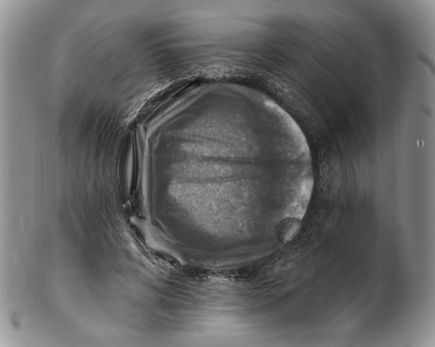 X0000100780592200807101818