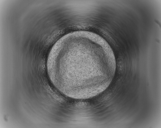 X0000100780593200807101818