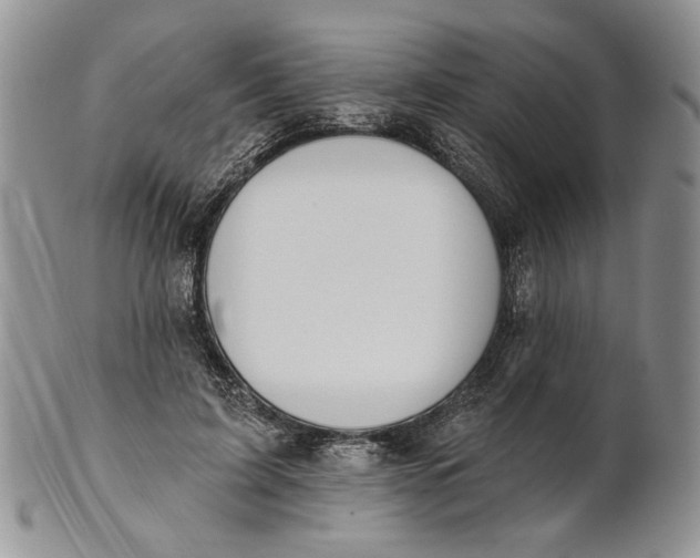 X0000100780595200807101818