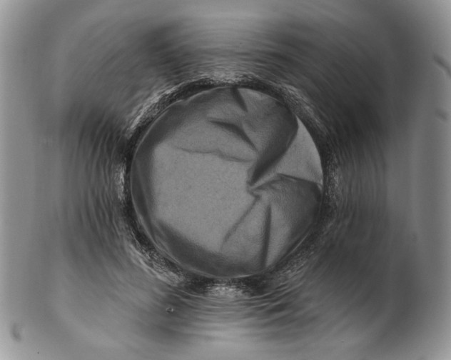 X0000100780596200807101818