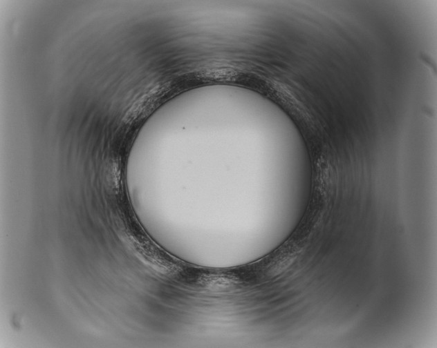 X0000100780597200807101818