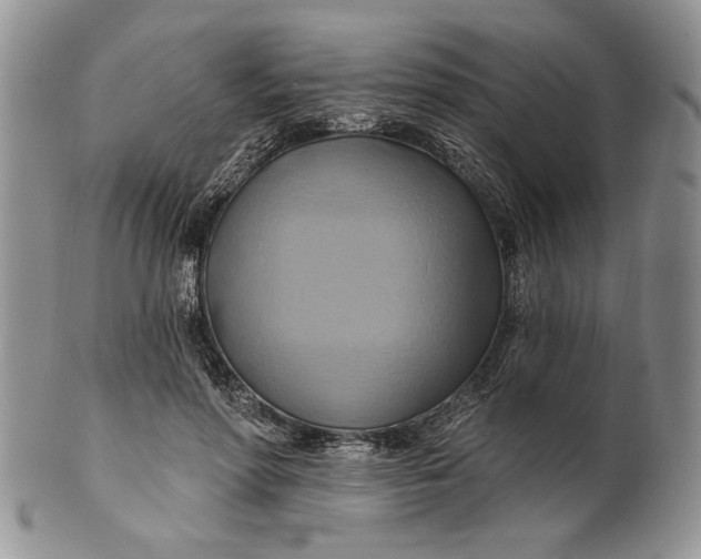 X0000100780598200807101818