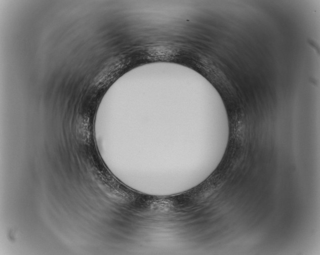 X0000100780599200807101818