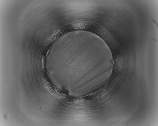 X0000100780600200807101818