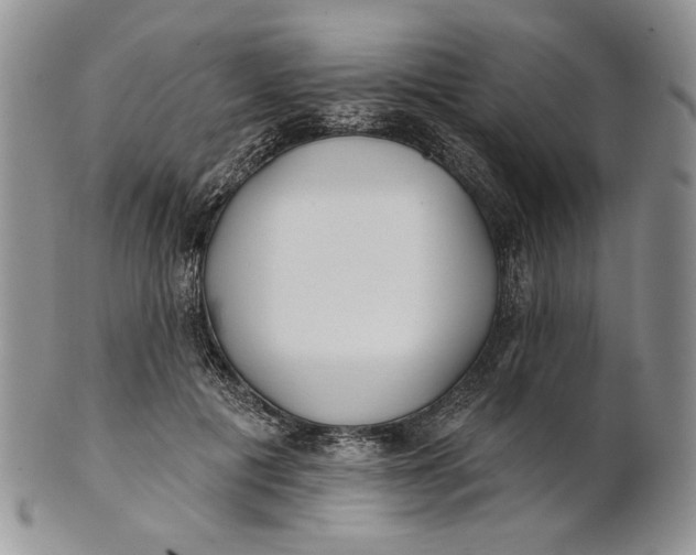 X0000100780601200807101818