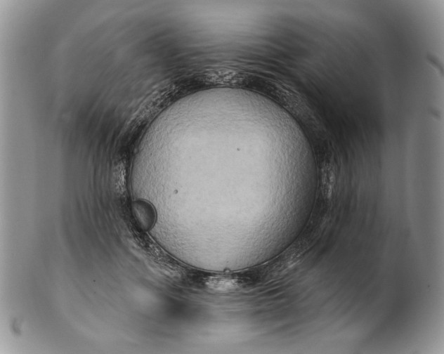 X0000100780602200807101818