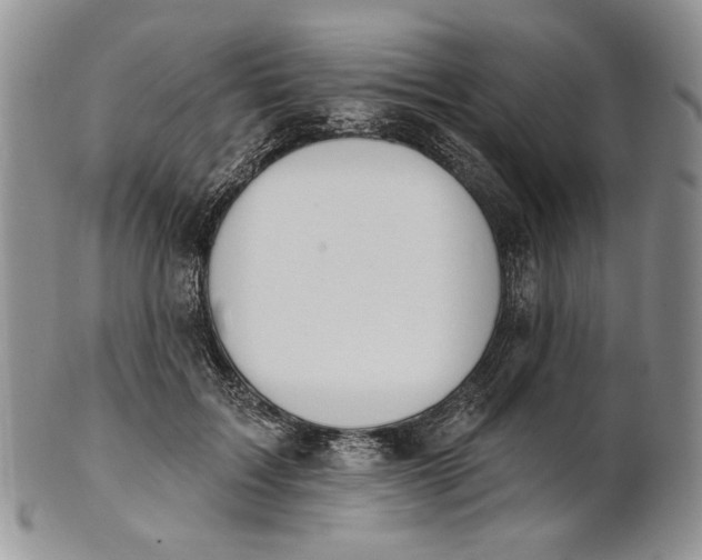 X0000100780603200807101818