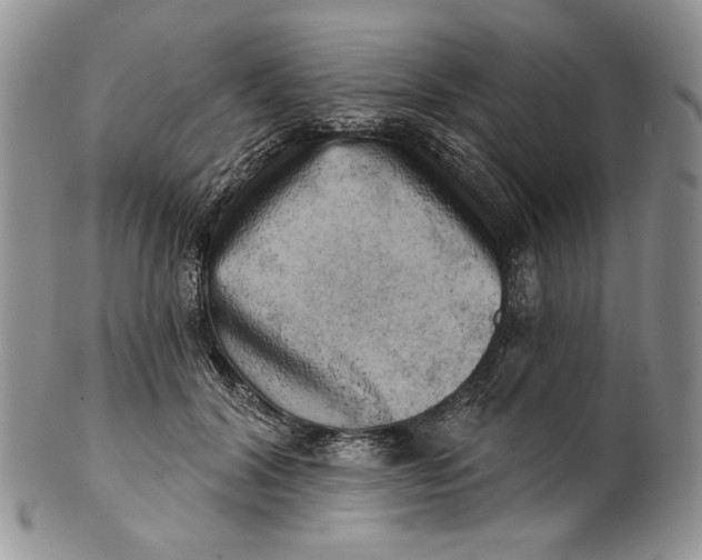 X0000100780604200807101818