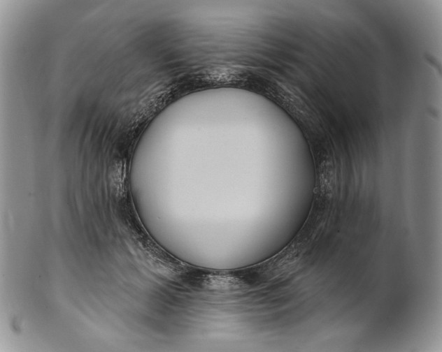 X0000100780605200807101818