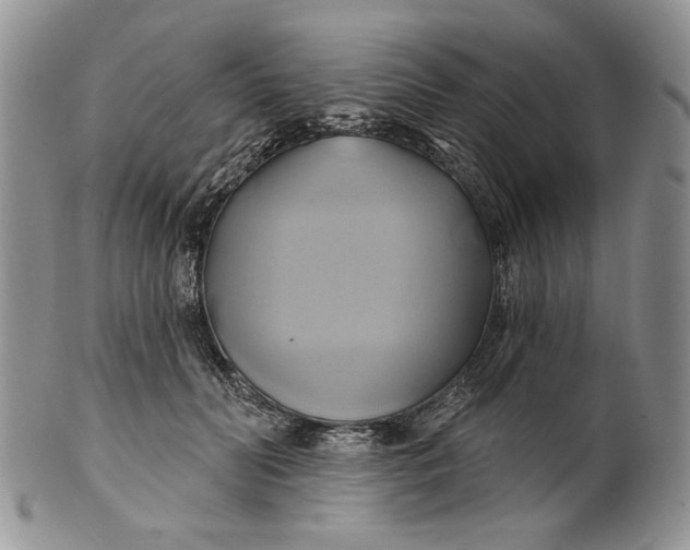 X0000100780606200807101818