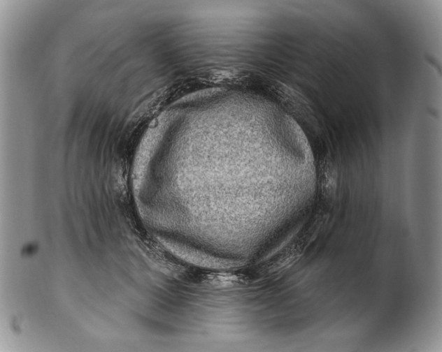 X0000100780607200807101818