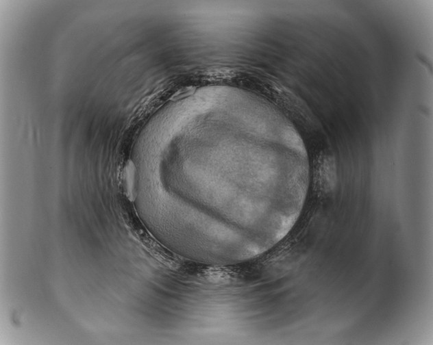 X0000100780608200807101818