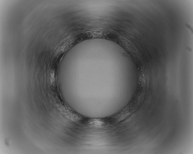 X0000100780610200807101818