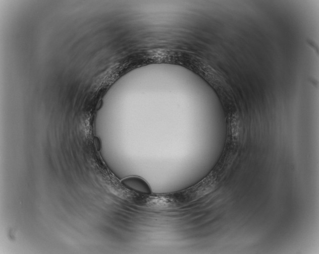 X0000100780611200807101818