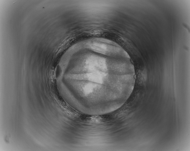 X0000100780612200807101818