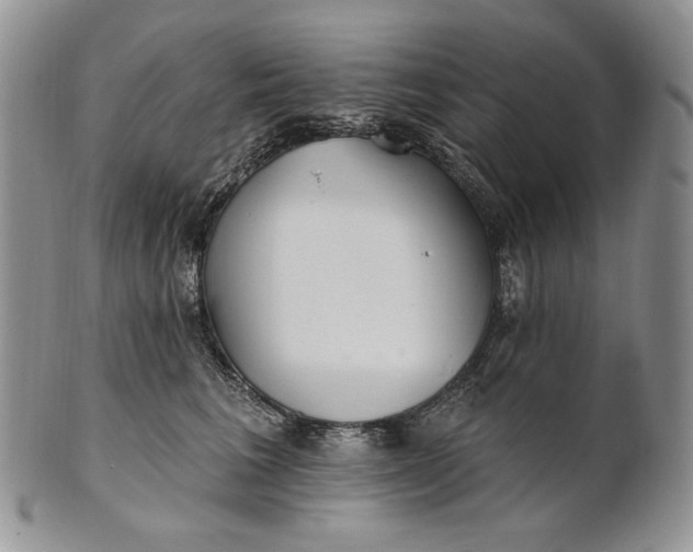 X0000100780613200807101818