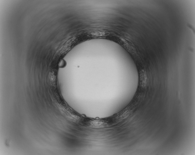 X0000100780614200807101818