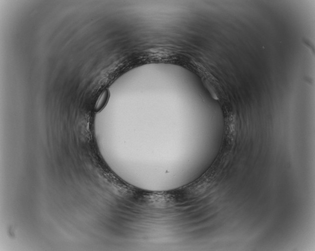 X0000100780615200807101818