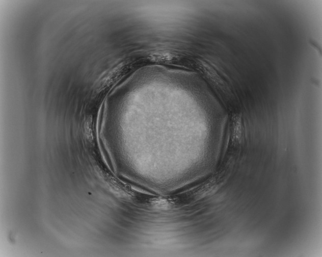 X0000100780616200807101818